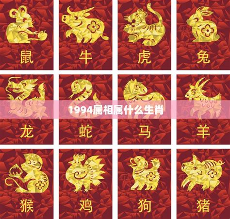 1994年属狗|1994年属什么生肖 1994年出生是什么命